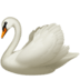 swan